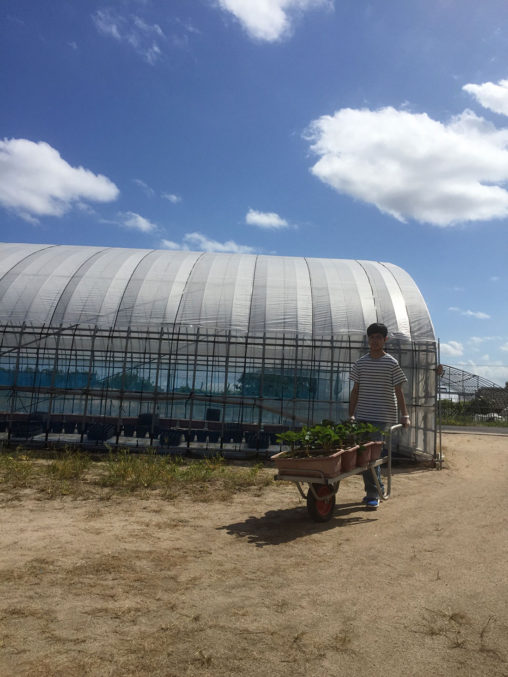 秋晴れの中の作業