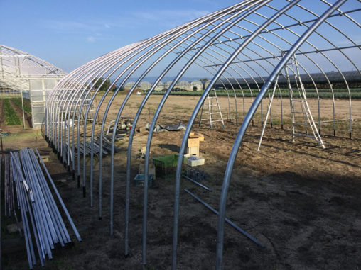 パイプハウス組立