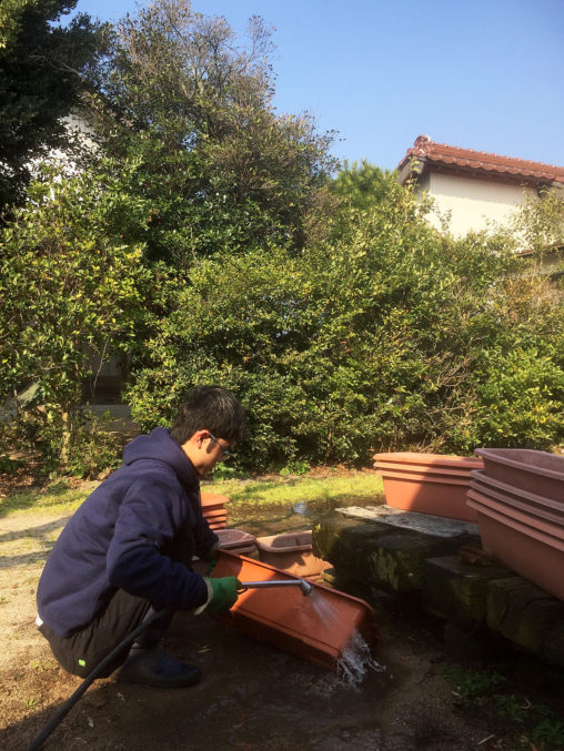 プランター掃除