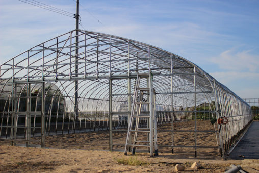 ハウスの組立作業もほぼ終了