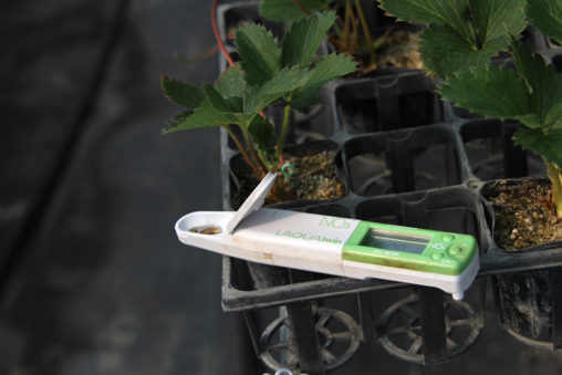 硝酸イオン測定