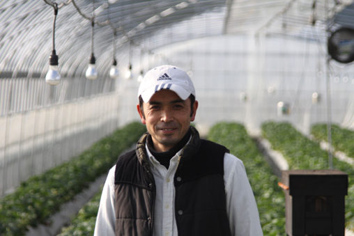 高見いちご縁　高見謙一