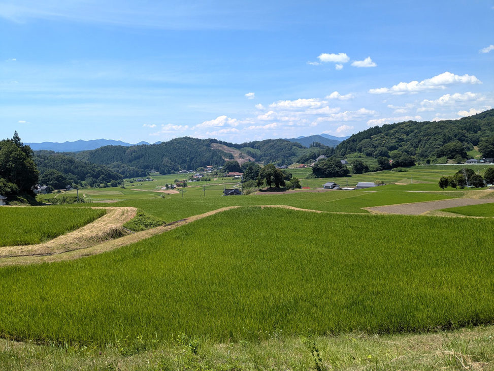 庄原市　棚田の風景