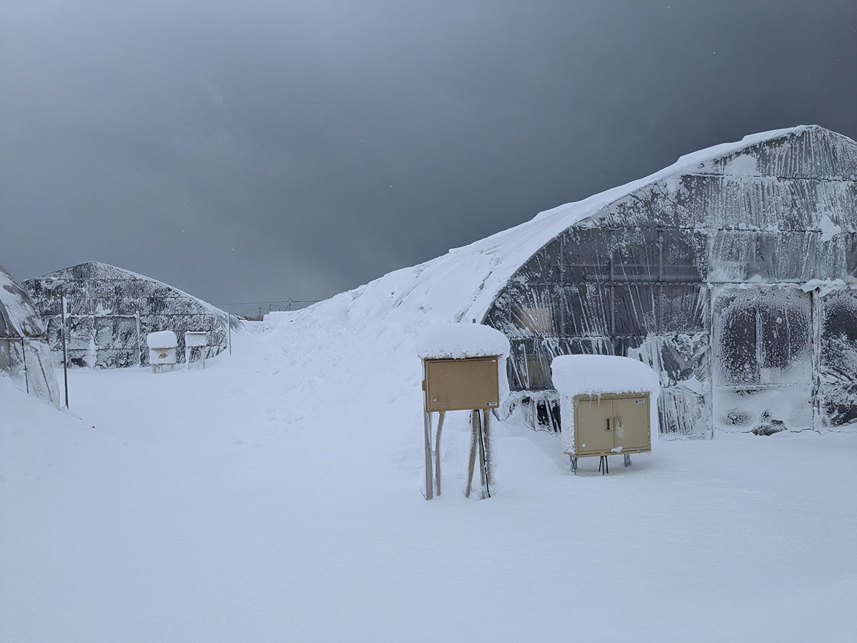 大雪のハウス