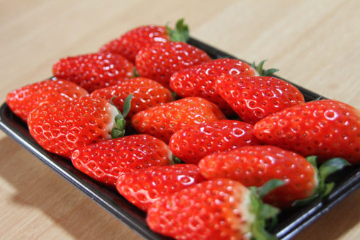 あきひめトレー