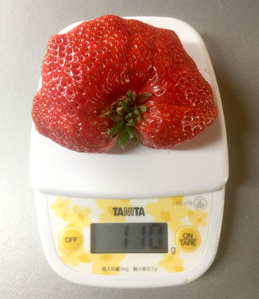 超特大いちご