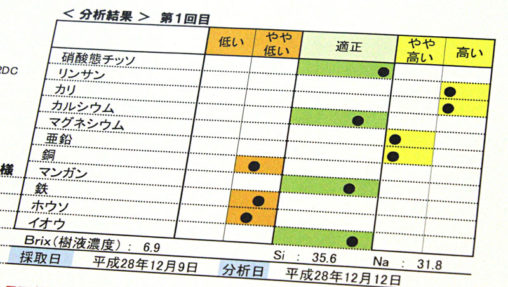いちご樹液分析