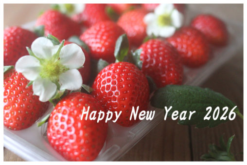 明けましておめでとうございます。高見いちご縁