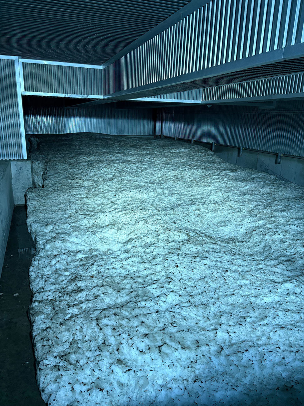 雪室で雪を貯蔵