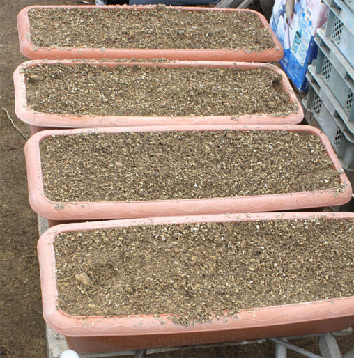 いちご苗用プランター土