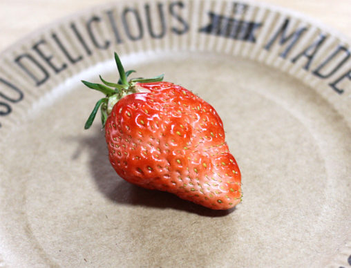不細工なイチゴ